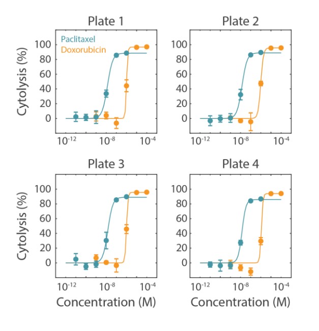 Cytotoxicity Assay