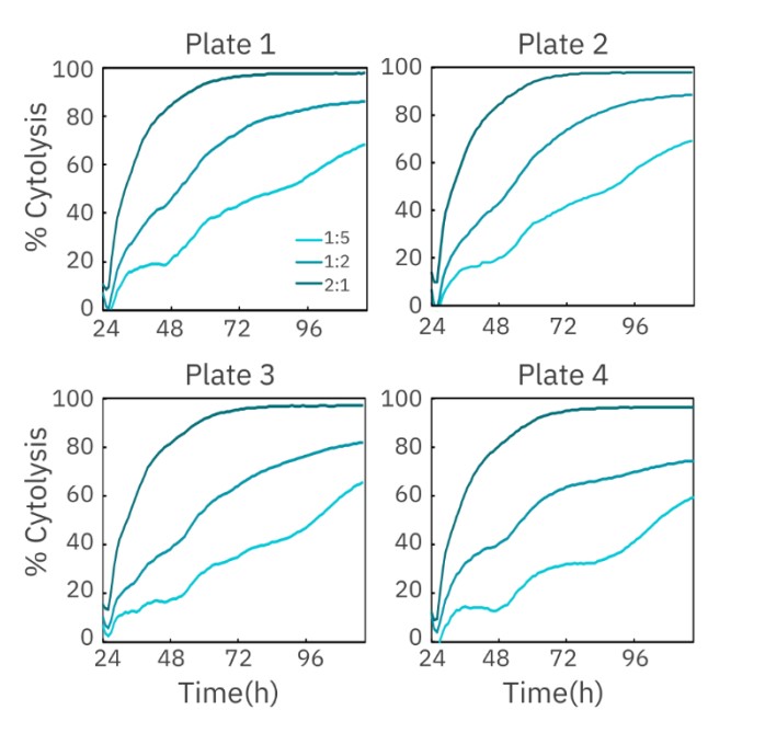 Cytolysis of 5k SKOV3 cells