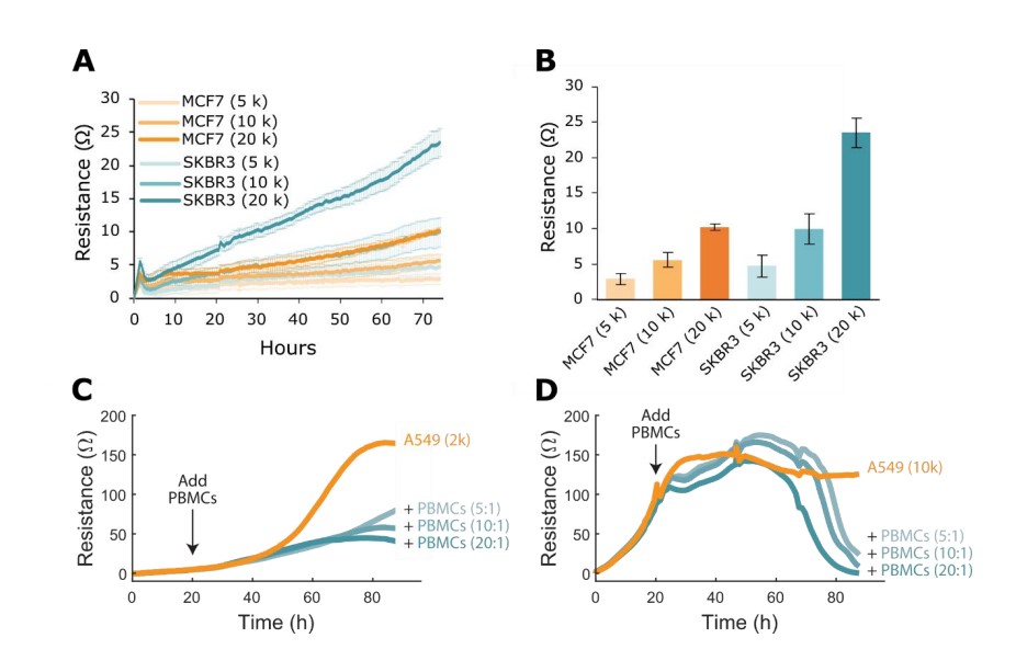 Example density sweep and target cell confluence effects on PBMC killing