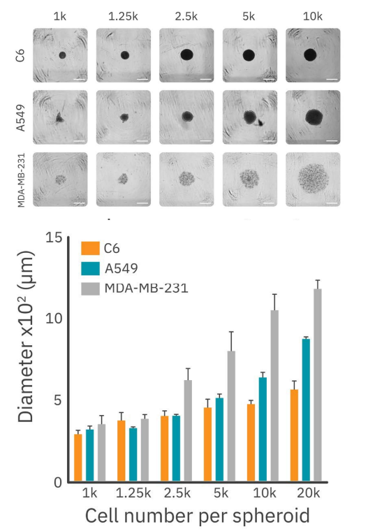 Figure 1:Densities of cancer spheroids