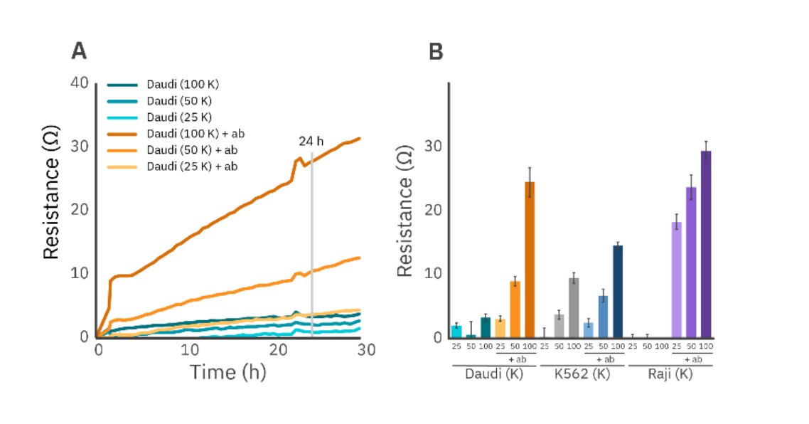 Quantification of non-adherent cancer cell proliferation using antibody tethering.