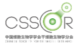CSSCR 2026