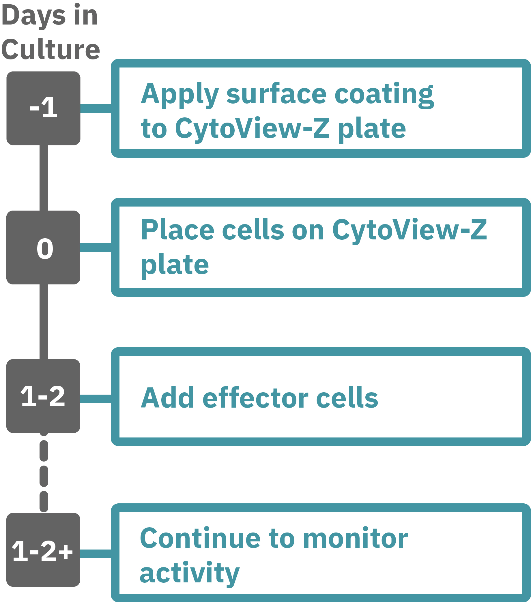 Immuno-oncology assay protocol steps