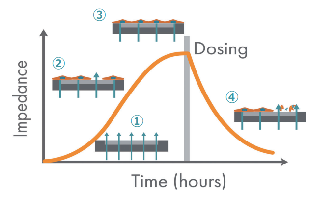 impedance x time