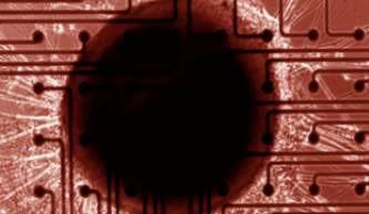 neural organoid on an MEA plate