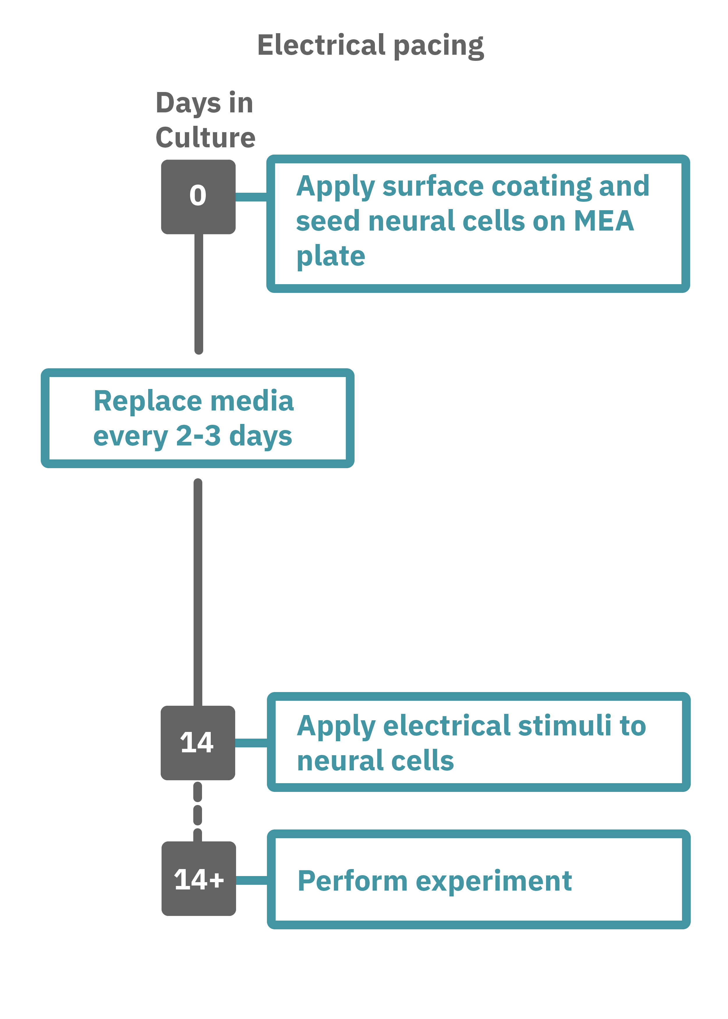 Neuro electrical pacing