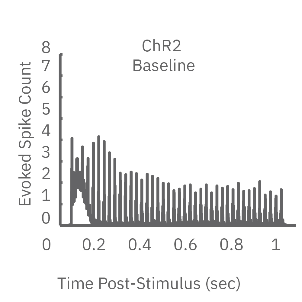 Chronos baseline response to optical stimulation