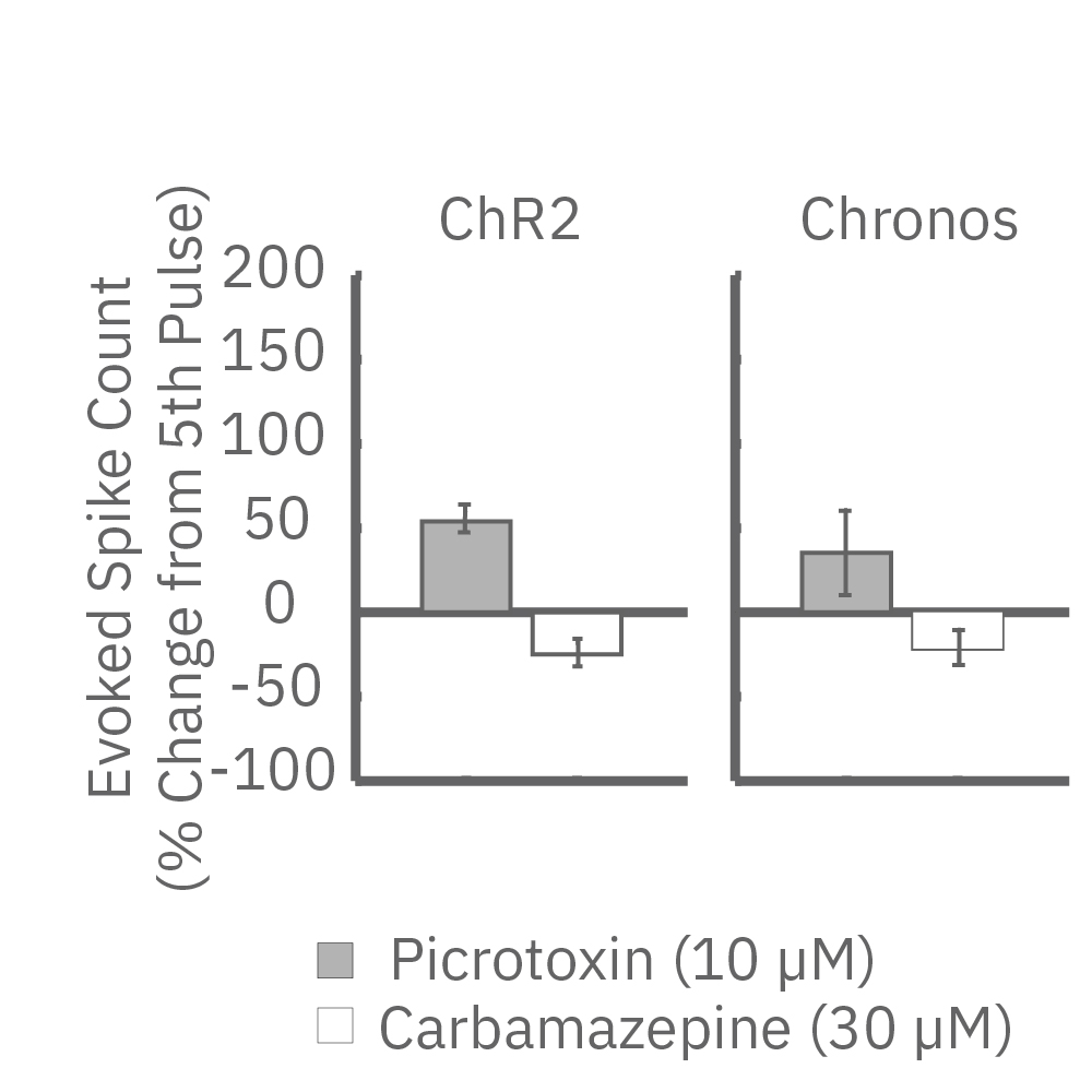 Evoked spike count showed a decreast in spike count after the application of carbamazepine