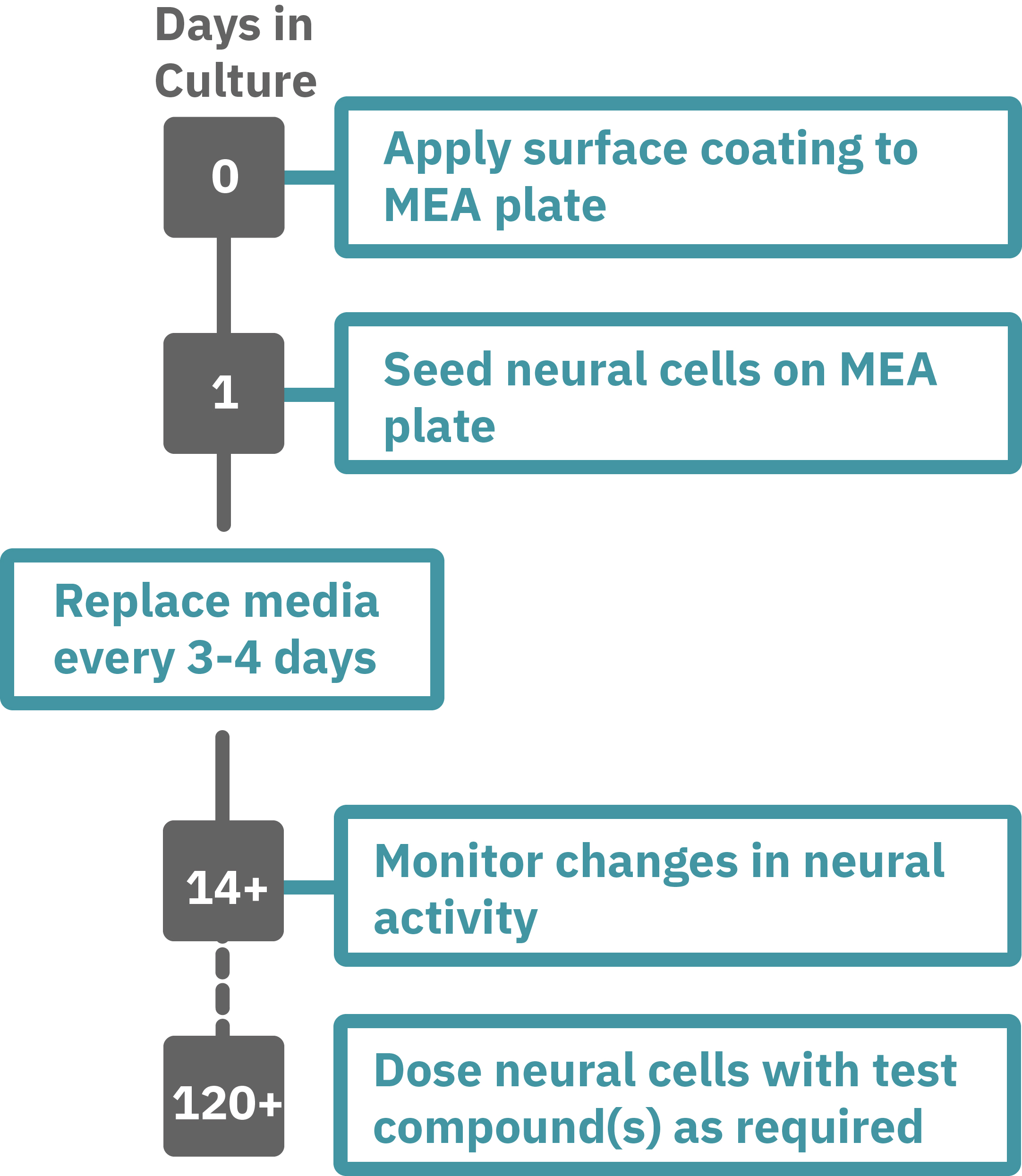 Neural characterization protocol