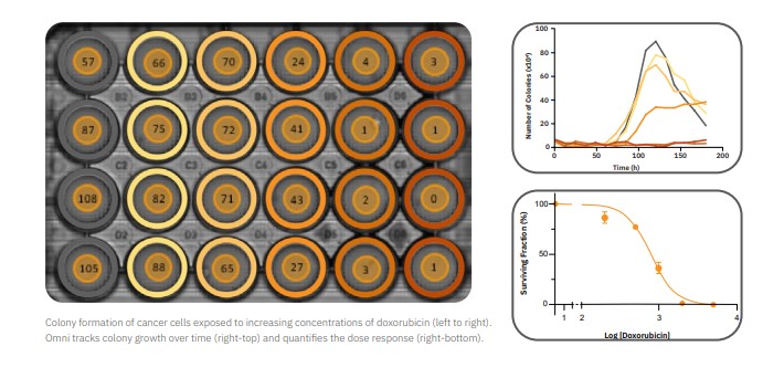 Whole plate imaging