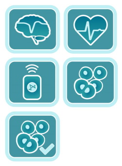 Multiwell MEA software and live cell assay software