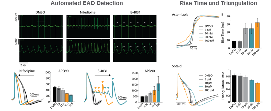 Cardiomyocyte recording of LEAP (local extracellular action potential) on MEA systems.