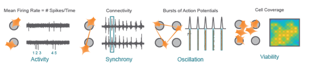 Neuron recording modes on MEA systems