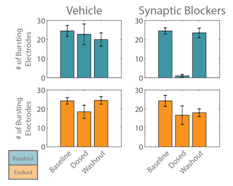The number of bursting electrodes was used to track the entrainment of each network, “evoked” (orange) and “readout” (blue), to the optogenetic stimulus