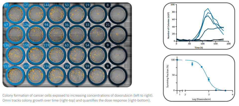 Whole plate imaging