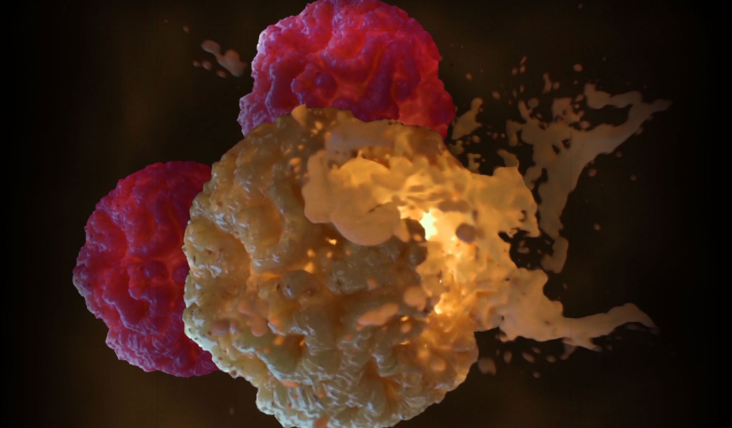 Immuno-oncology applications
