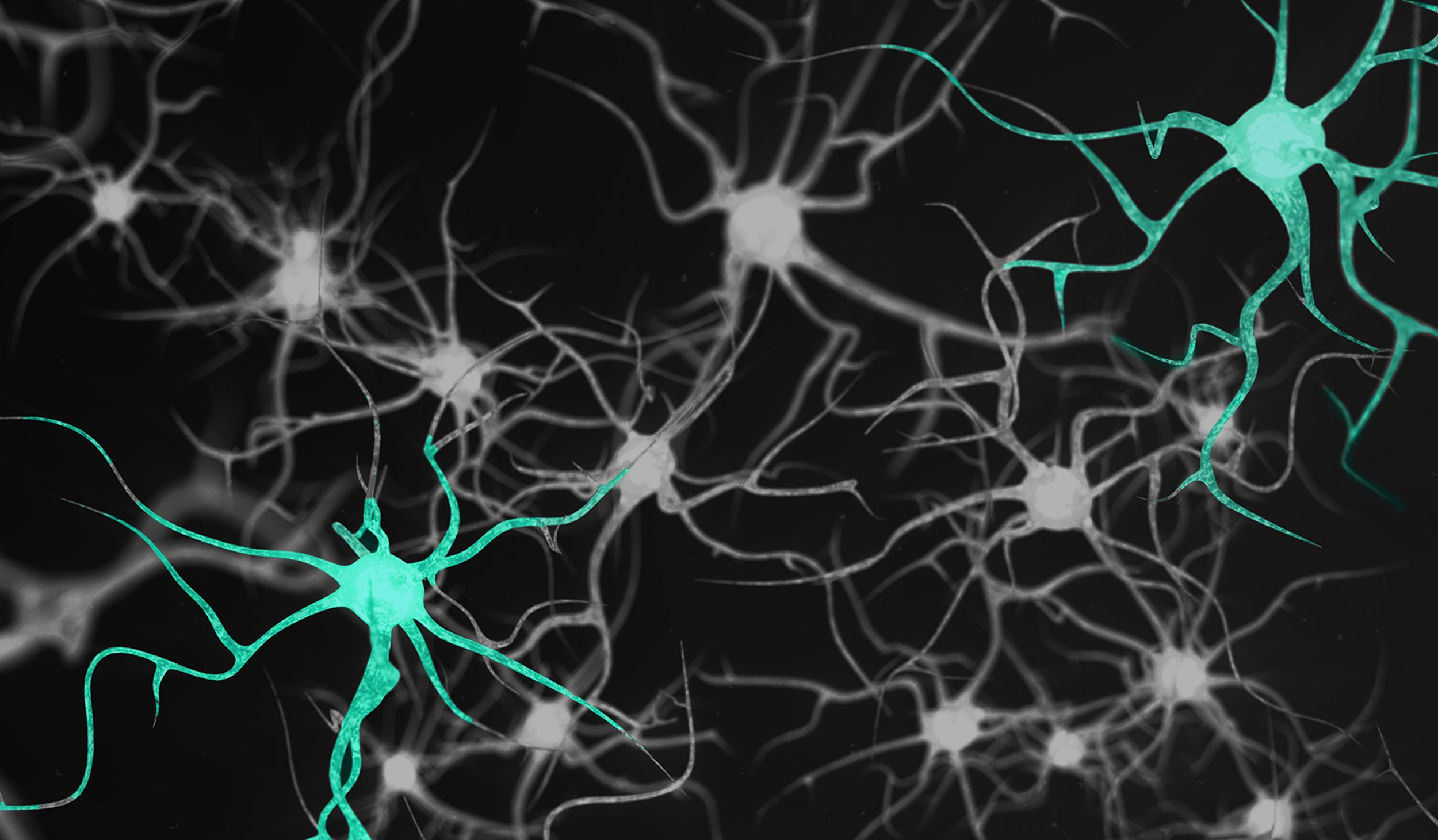 Neurotoxicology