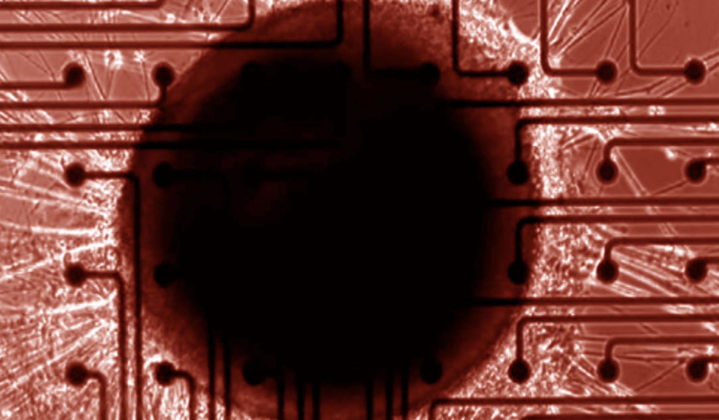 Neural organoid in an MEA well