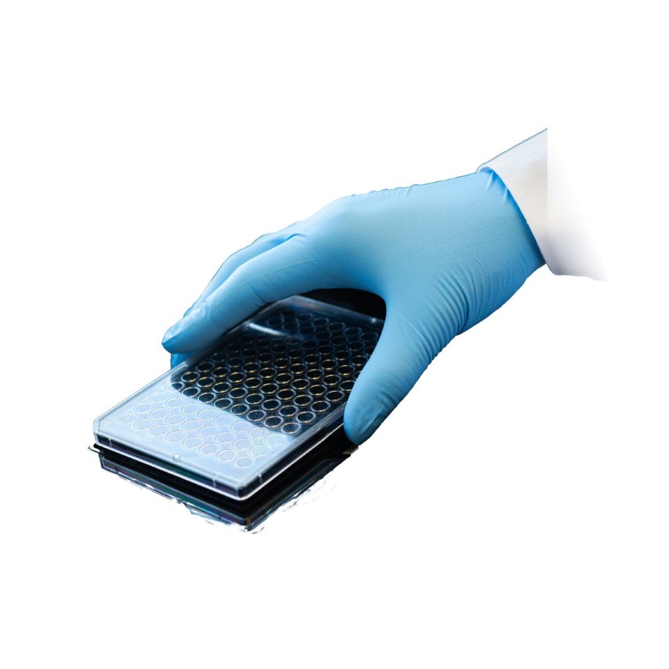 Axion Services