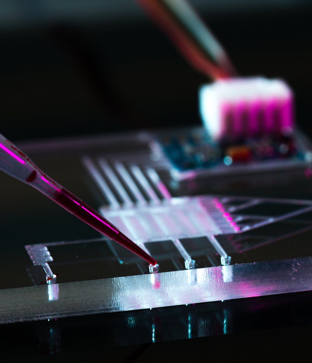 Organ-on-a-chip Application Header Image