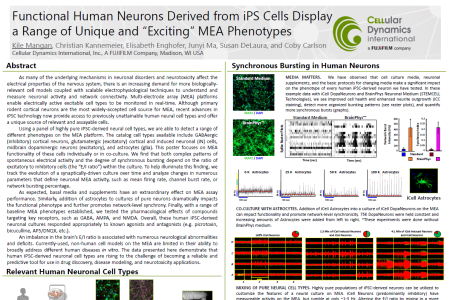 2016 SFN Poster Mangan Functional human neurons derived from iPS Cells 