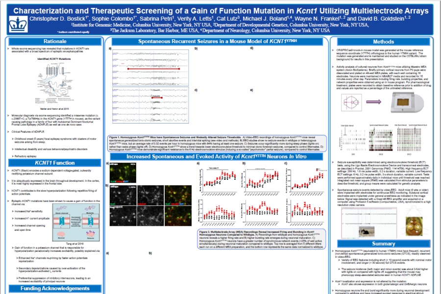 2017 SfN Bostick poster characterization and therapeutic screening in multielectrode arrays