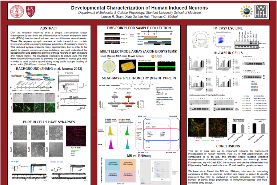 2017 SfN Giam Poster developmental characterization of human induced neurons