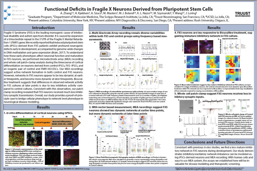 2017 SfN Zhang functional deficits in fragile x