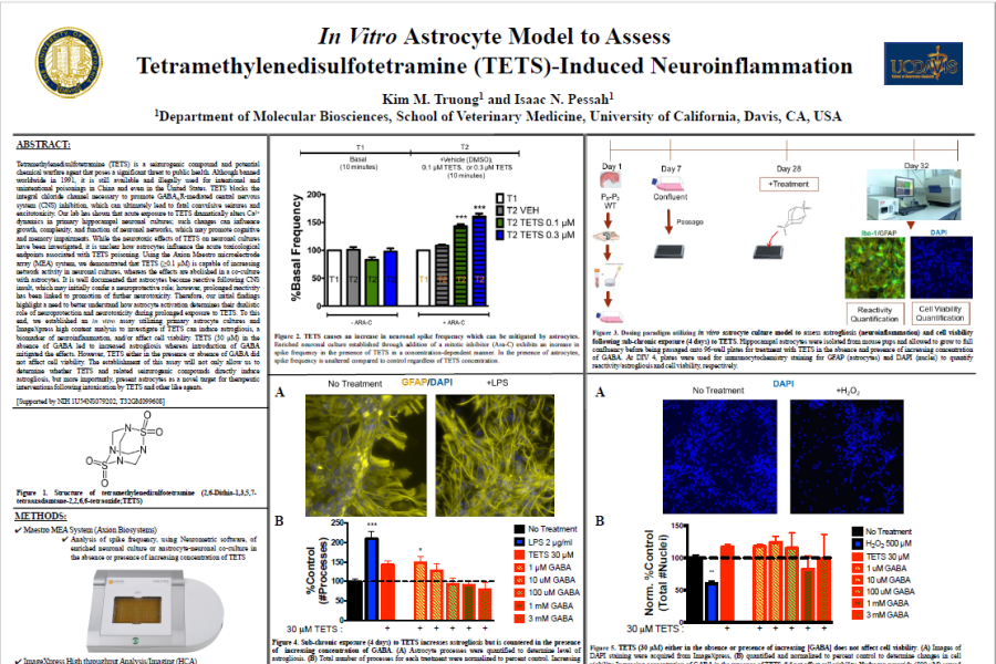 2017 SOT poster Truong in vitro astrocyte model