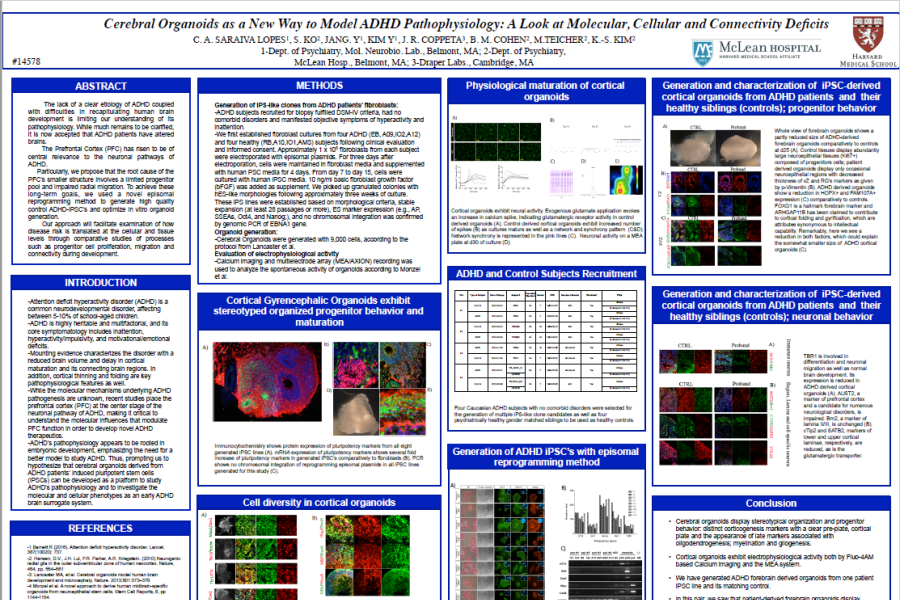 2018 SfN Poster Saraiva Lopes