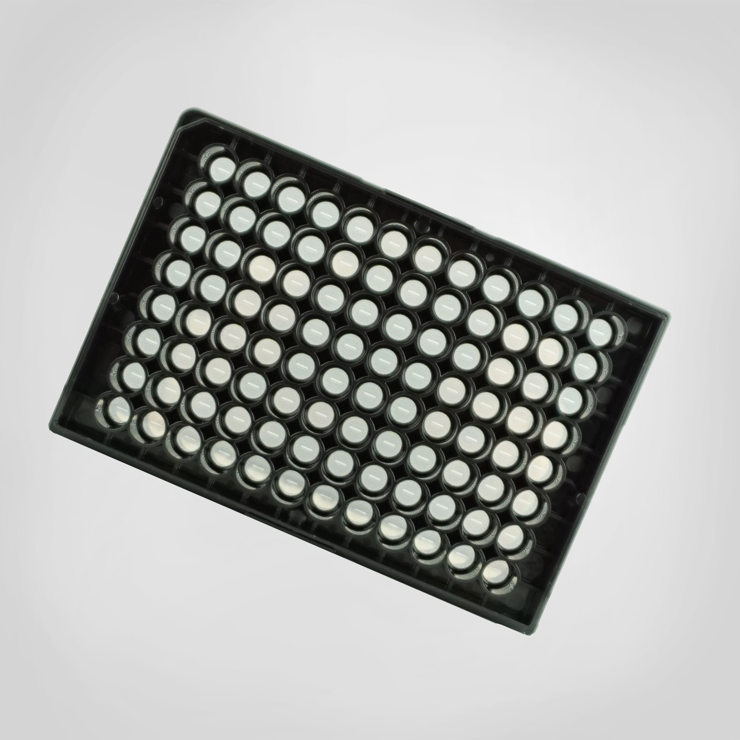 CytoView Z 96 well Plate
