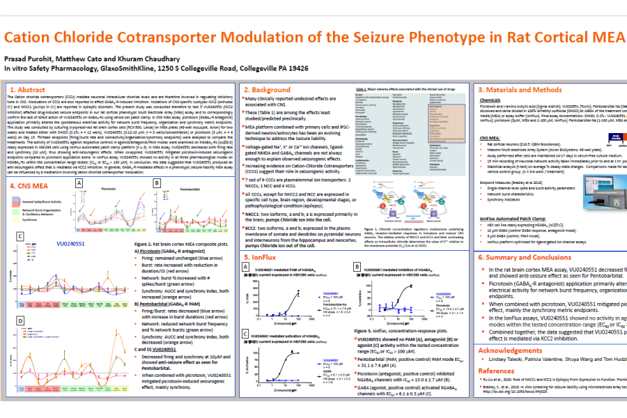SPS 2020 Seizure phenotype in Rat Cortical MEA