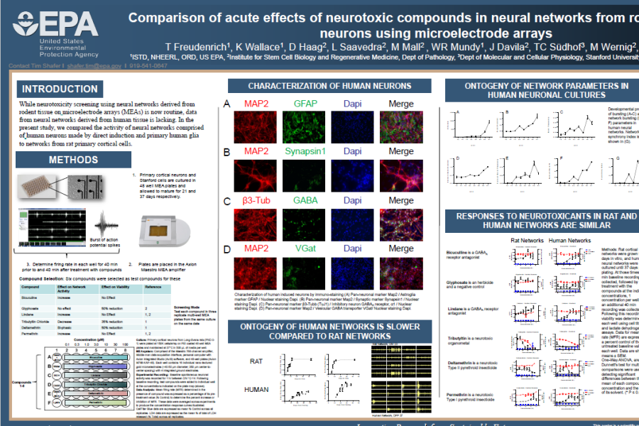 2020 Neucyte poster neurotoxic compounds on neural networks on multwell MEA system