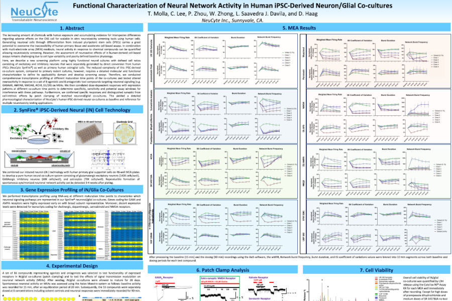 2020 Neucyte poster characterization of neural netowrk activity in neuron and glial co-cultures on MEA system
