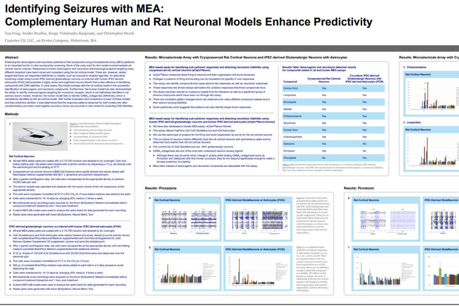 Identifying Seizures with MEA: Complementary Human and Rat Neuronal Models Enhance Predictivity