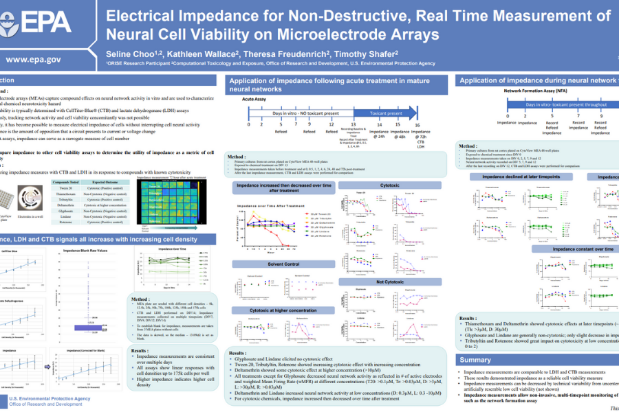 Identifying Seizures with MEA: Complementary Human and Rat Neuronal Models Enhance Predictivity