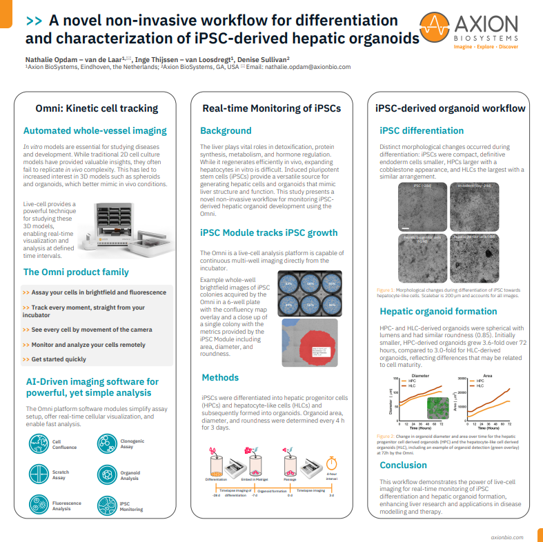 A novel non-invasive workflow for differentiation and characterization of iPSC-derived hepatic organoids