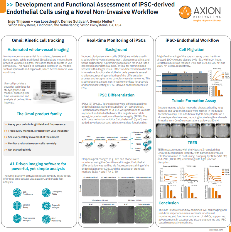 Development and Functional Assessment of iPSC-derived Endothelial Cells using a Novel Non-Invasive Workflow