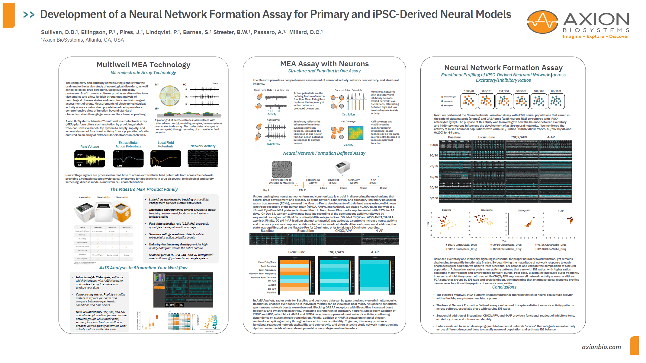 FENS2026_NeuralNetworkFormationAssay