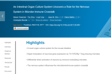 An Intestinal Organ Culture System Uncovers a Role for the Nervous ...