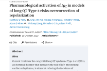 Pharmacological activation of IKr in models of long QT Type 2 risks ...