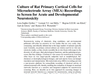 Culture of Rat Primary Cortical Cells for Microelectrode Array (MEA ...