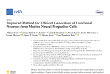 Improved Method for Efficient Generation of Functional Neurons from ...