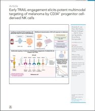 Early TRAIL-engagement elicits potent multimodal targeting of melanoma ...