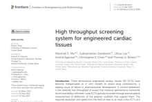 High throughput screening system for engineered cardiac tissues | Axion ...
