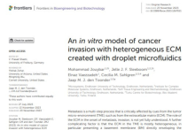 An in vitro model of cancer invasion with heterogeneous ECM created ...