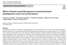 Neuro Insecticide Effects of chronic insecticide exposure on neuronal network development ...