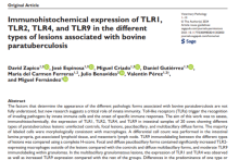 Immunohistochemical expression of TLR1, TLR2, TLR4, and TLR9 in the ...
