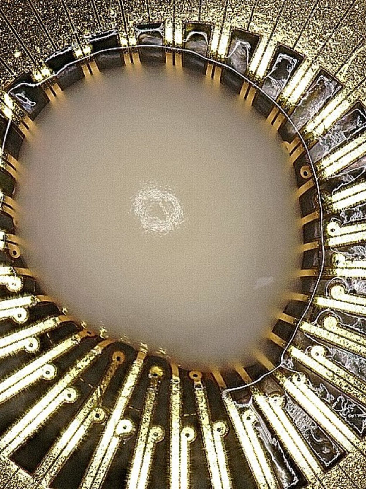 Organoid MEA