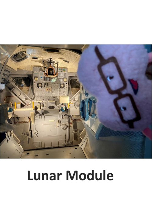 Mini brain on the lunar module